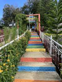 The beautiful  Sirao Gardens 