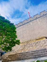 📖 A Wall That Holds a Thousand Stories