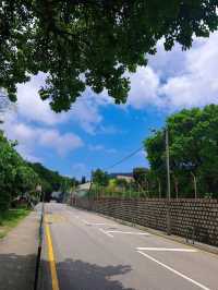 從香港出發往澳門路環的交通攻略 