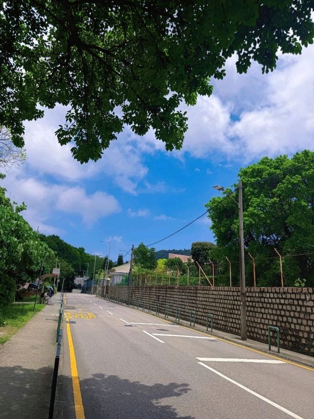 從香港出發往澳門路環的交通攻略 