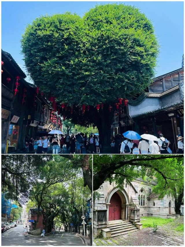 啱啱從福州返嚟，講啲真心話