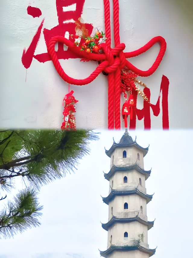 喺溫州「鬼市」淘到明朝古董？專家鑑定後我腳軟咗"