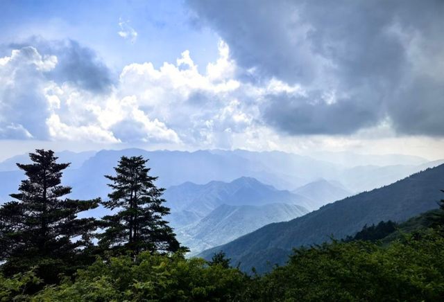 中國最大原始森林——神農架