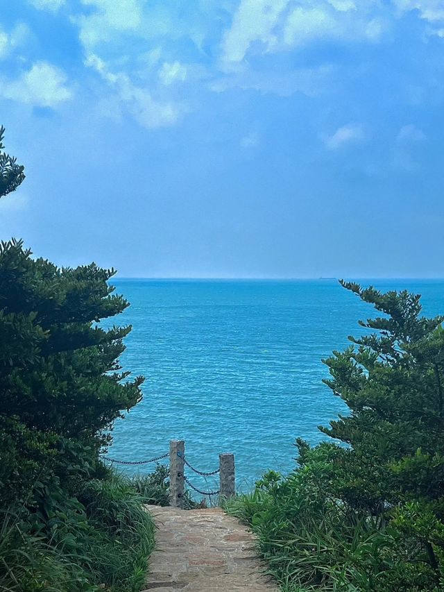 東極島這場藍眼淚盛宴，治好了我的都市色盲症！
