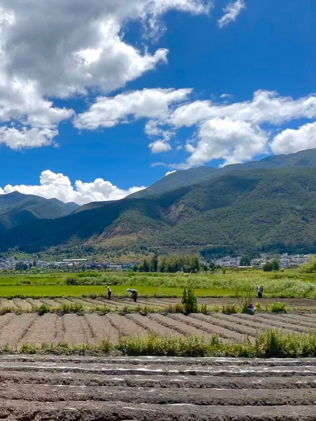 大理環洱海深度遊攻略 | 邂逅風花雪月