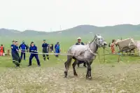 2024年蒙古馬超級聯賽總決賽激動開賽
