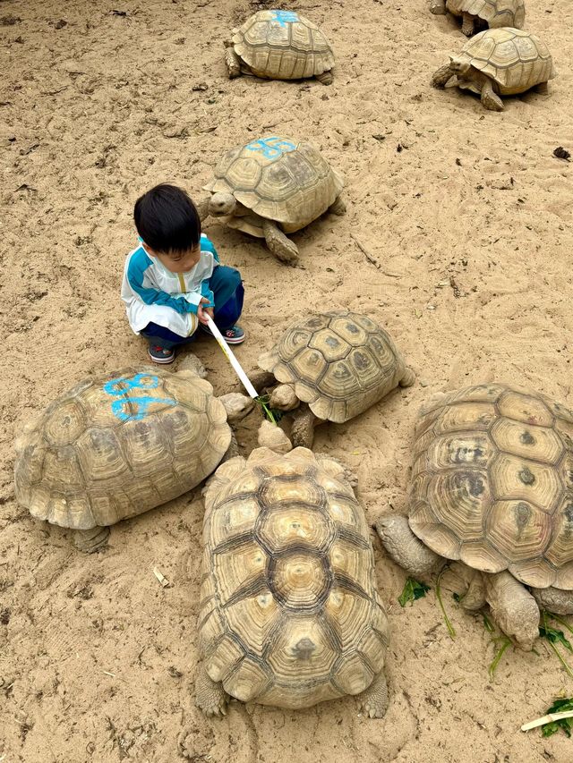 迄今為止……暑假最適合親子遊的城市出現了！