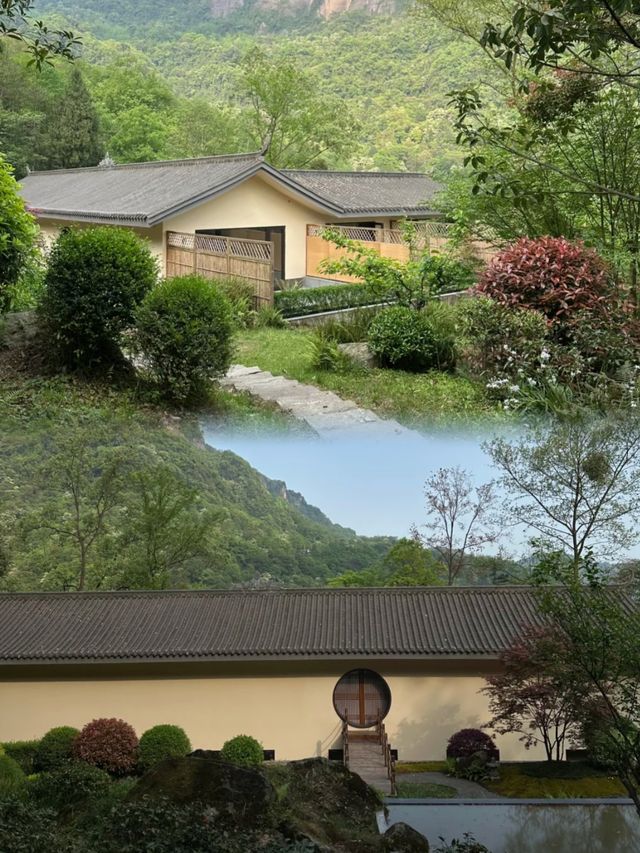 青城山民宿｜躲進森林發呆！