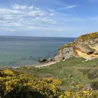 Hidden Gem in Scotland - Cove Bay!