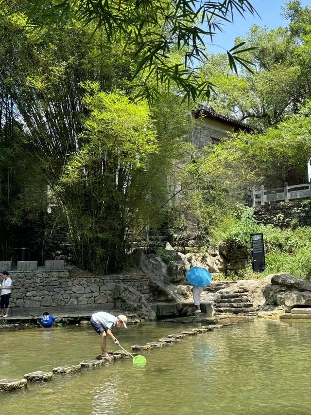 愛樹黃姚書院民宿，展開一段充滿詩意的旅程