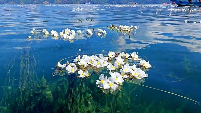 瀘沽湖2日1夜保姆級攻略｜邂逅夢幻「藍眼淚」，沉醉仙境之旅