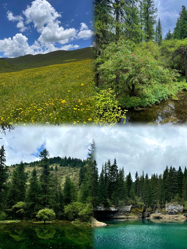 成都出發2小時！松潘7月藏住20℃嘅夏天，雪山草原花海一次過打包。