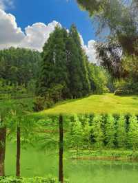 呢場同大自然嘅約會，真係俾佢狠狠驚艷到