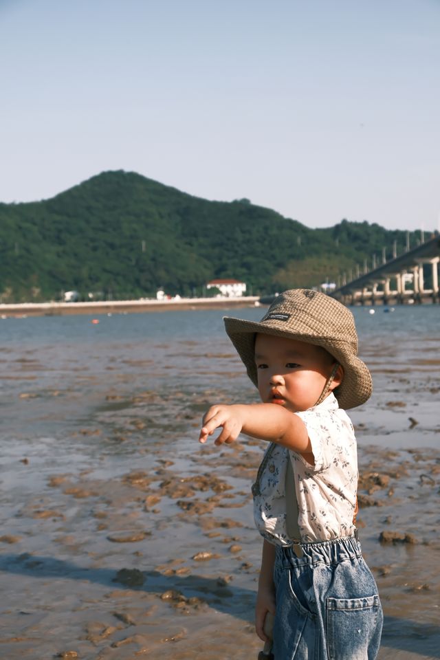 溫州遛娃|夏日洞頭趕海灘塗上撿到的九節蝦