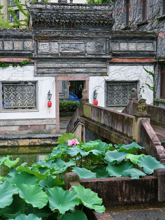 喺寧波，我去過最靚嘅古風荷塘