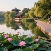 【濟南暴走3日2夜！呢篇攻略令你秒變