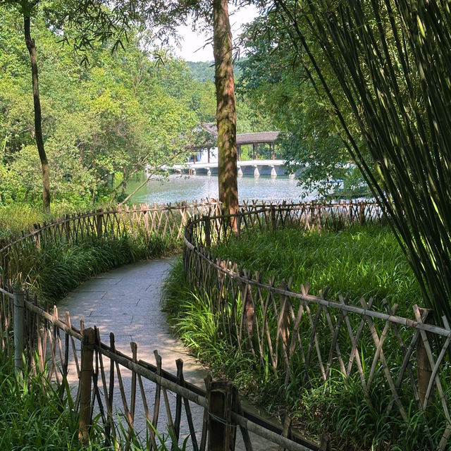 浴鵠灣的夏天，綠到不需要濾鏡
