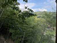 自由自在仲要喺山野間放空自己