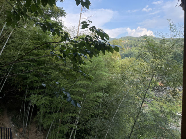 自由自在仲要喺山野間放空自己