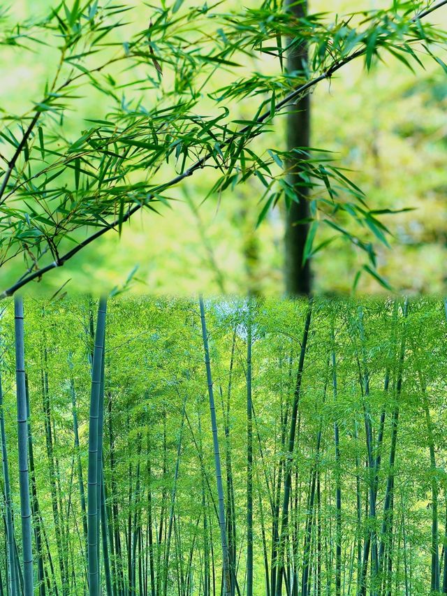 🪨喺宜興！！後悔咁遲先發現嘅寶藏小城