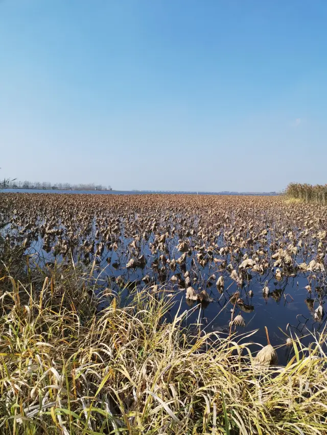 Yangzhou Travel Guide