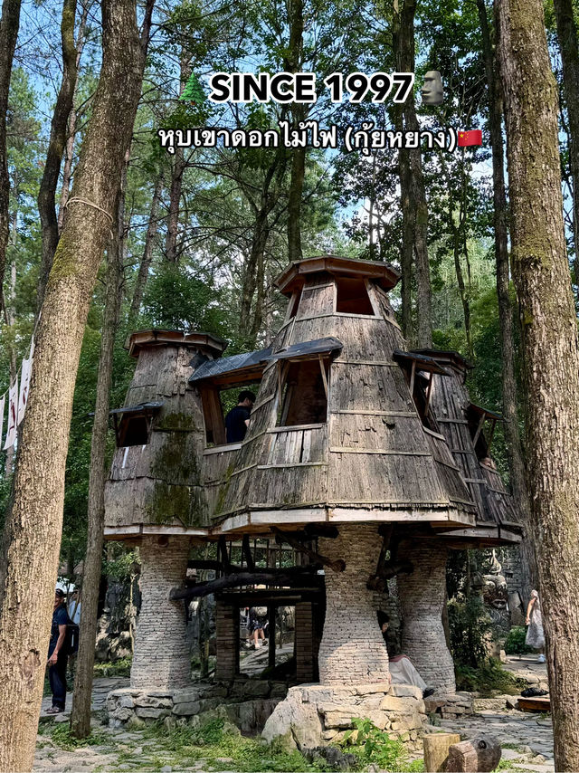 เดินลุยดูหิน ที่สร้างตั้งแต่ปี 1997 เดินลุยดูหิน ที่สร้างตั้งแต่ปี 1997