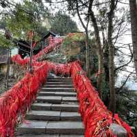 【中国 湖南省】世界遺産🌏 中国初の国家森林公園「張家界国家森林公園」✨🌲