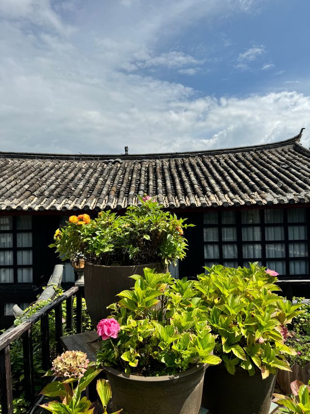 麗江束河古鎮︱觀景最一流嘅超靚民宿