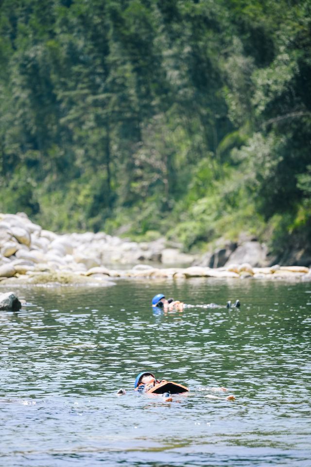 在貓兒山，解鎖「華南之巔」的N種寶藏玩法