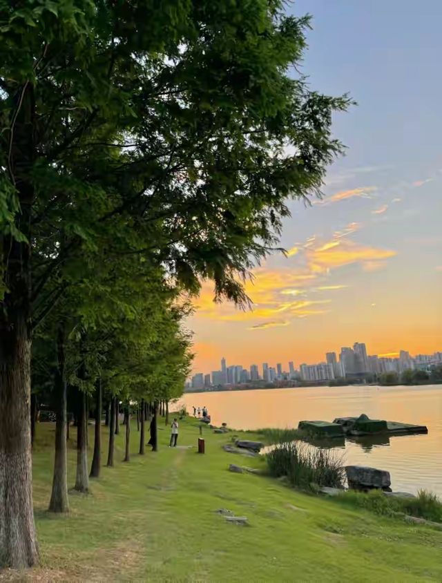 長沙8個惬意感拉滿的野餐地，明天就去吧！