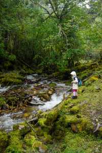 香格里拉尼丁森林|國慶真沒人!帶5歲娃徒步雲南魔幻森林