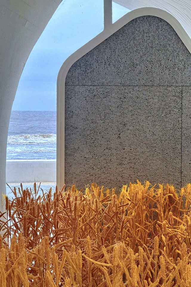 阿那亞|被沙丘美術館治癒的一天