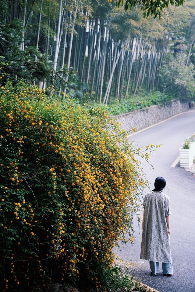 浙江 莫干山風景區
