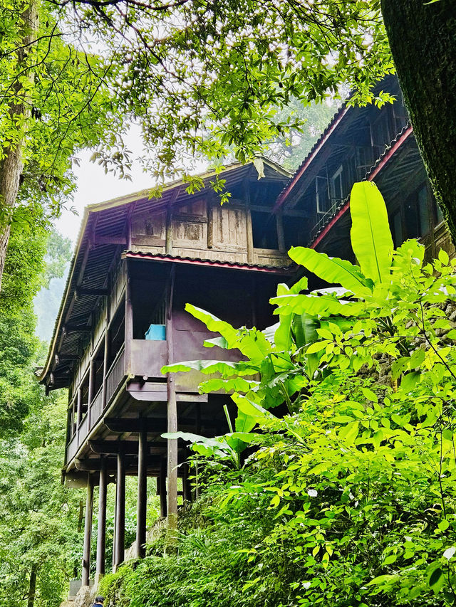 成都經典玩法攻略| 住古風酒店打卡三星堆熊貓基地 成都經典玩法攻略| 住古風酒店打卡三星堆熊貓基地
