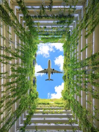 Shenzhen's Wizard of Oz: A Must-Visit for Those Feeling Low on Energy