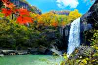 青山溝紅葉季，秋日限定浪漫來襲