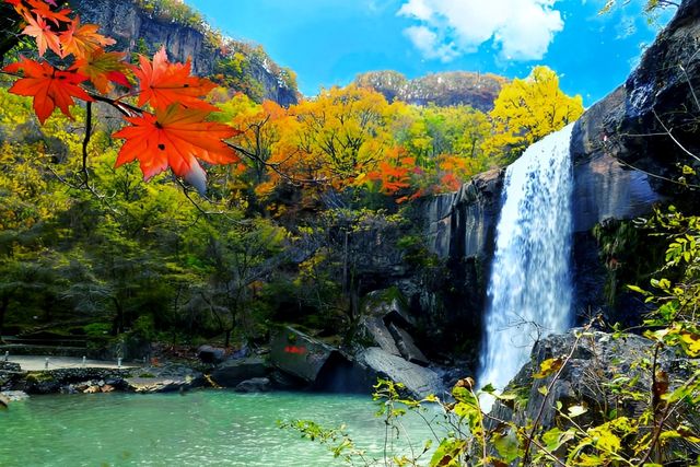 青山溝紅葉季，秋日限定浪漫來襲