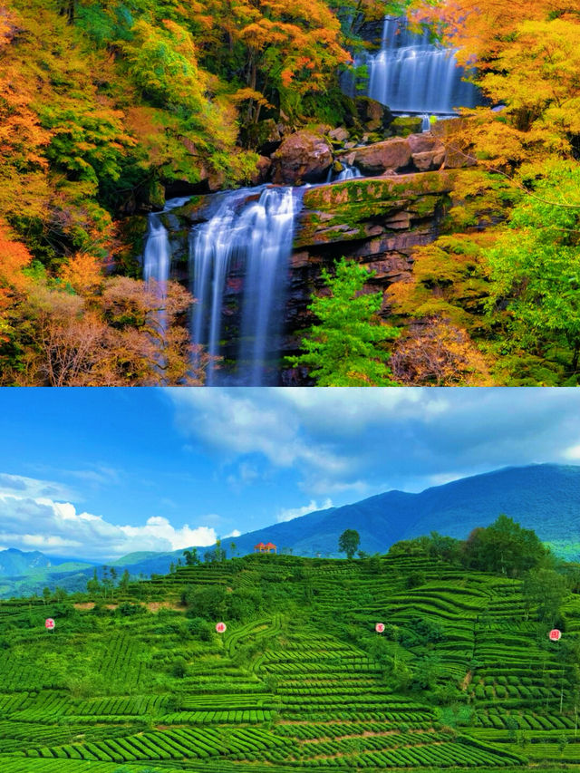 尋跡天漢，夢回兩漢三國