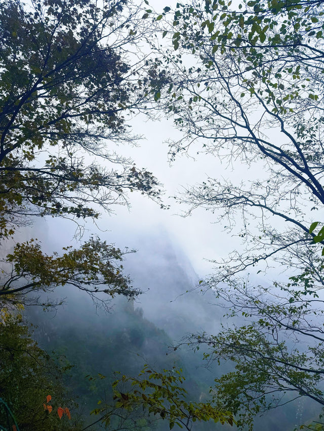 天生橋深秋徒步攻略 | 一日解鎖「太行山香格里拉」秋日童話