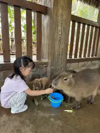 帶娃刷陵水，一定要說說的真實感受