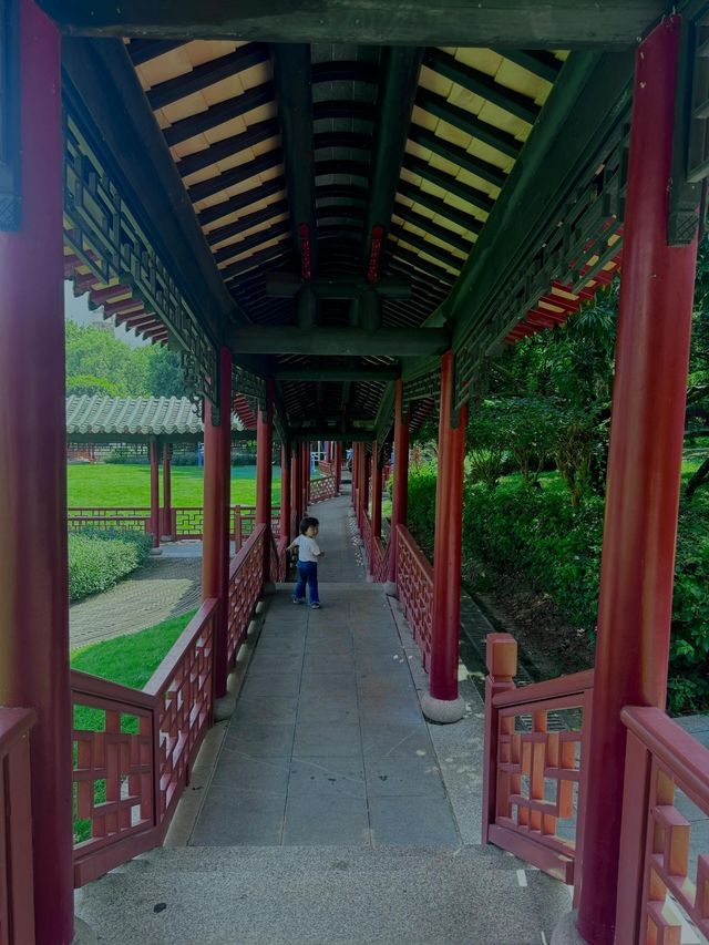 深圳人必衝！99%不知道的寶藏錦鯉園林