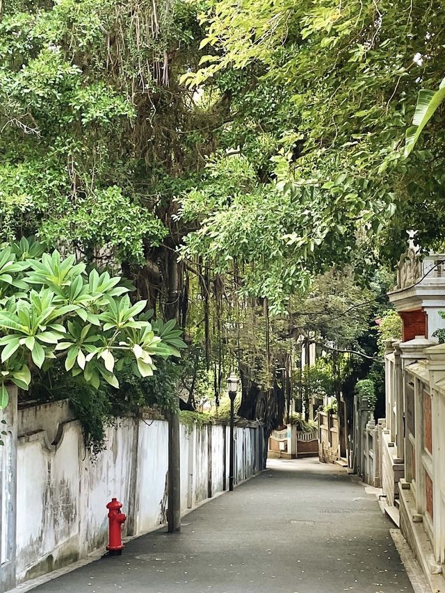 百年南洋老洋樓的美宿體驗閩南風情拉滿的鼓浪嶼避世酒店