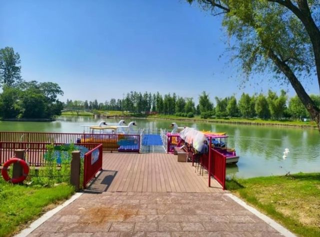 合肥雲朵夢莊園|動物愛好者必打卡的治癒天堂 合肥雲朵夢莊園|動物愛好者必打卡的治癒天堂