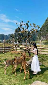 原來「小鹿亂撞」是這種感覺