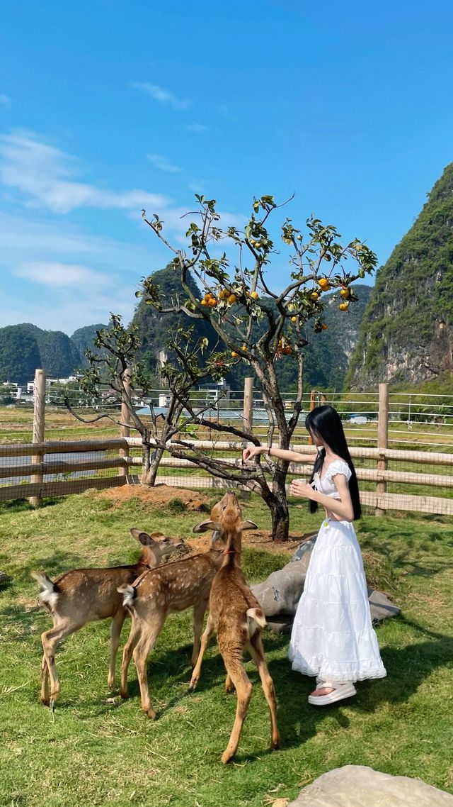 原來「小鹿亂撞」是這種感覺 原來「小鹿亂撞」是這種感覺
