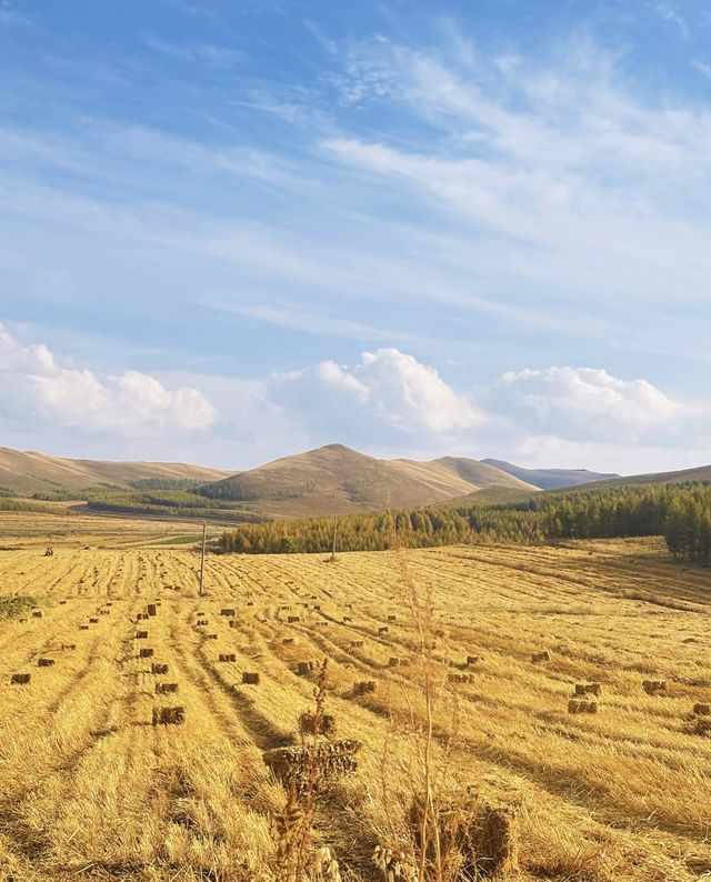 河北私藏!張北壩上3天2夜攻略,解鎖草原自由與避坑指南 河北私藏!張北壩上3天2夜攻略,解鎖草原自由與避坑指南