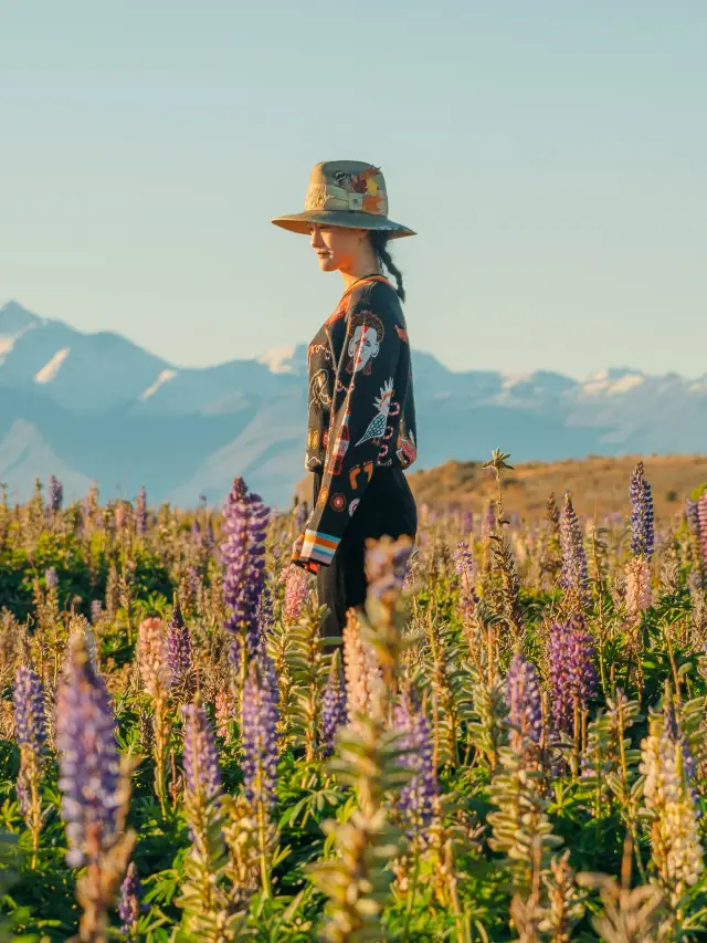 13-Day New Zealand Private Car Tour, Worry-Free and Amazing