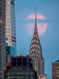 美東自由行不踩坑強推！定制包車景點隨心玩