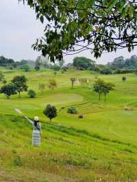 南昌週末去哪兒？江西阿勒泰藝術館！