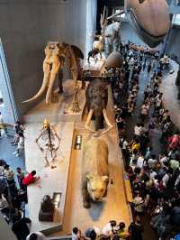 上海自然博物館 | 會呼吸的綠螺,超震撼的自然世界!